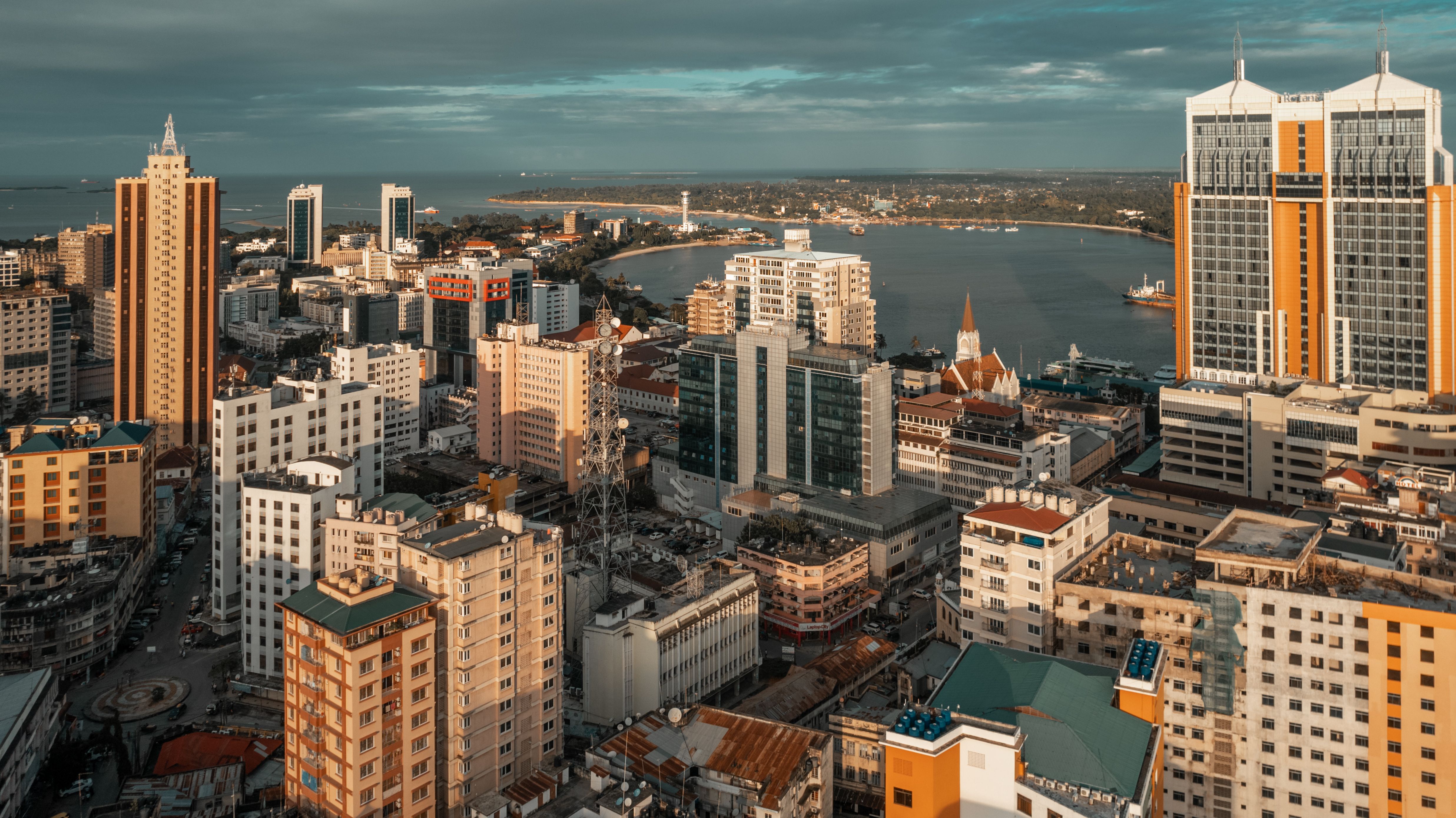 Investing at the edge of market formation