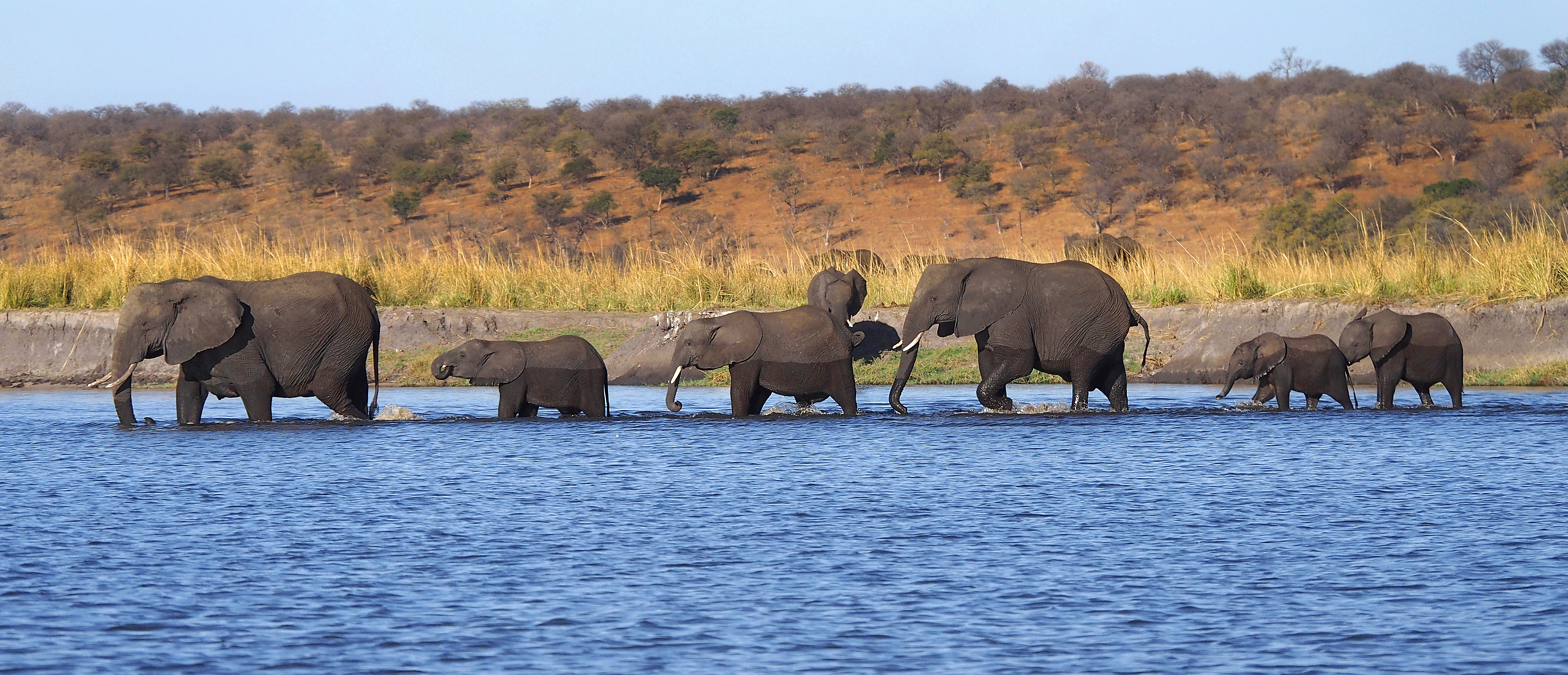 Valuing and investing in biodiversity internationally for national security at home